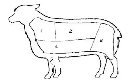 Richardson Meats - Farm image of lamb