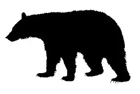 richardson meats - wild game picture of a bear to demonstrate the cut option